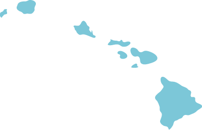 Hawaii state graphic