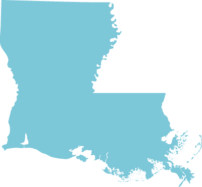 Louisiana state graphic